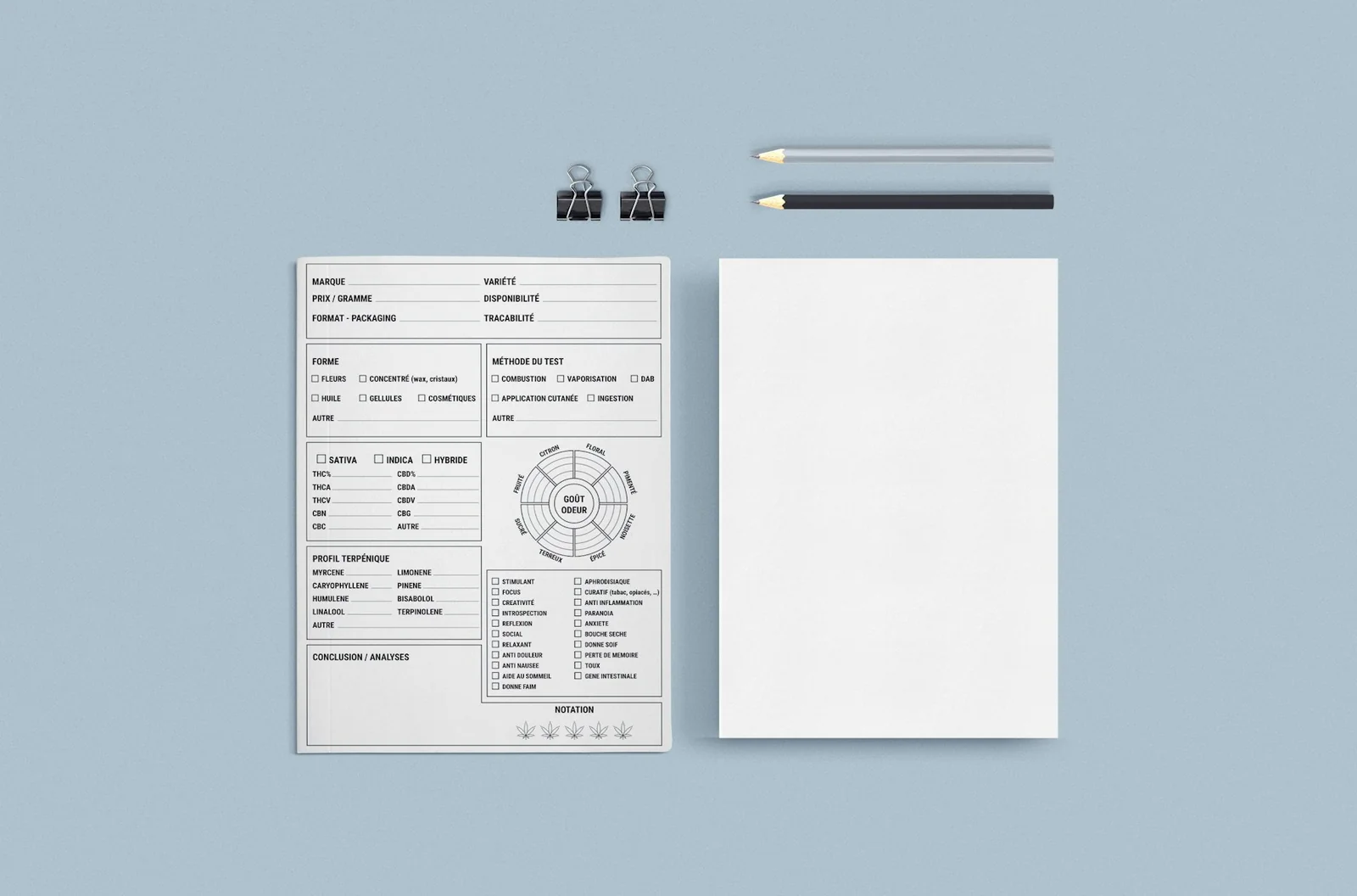 How to Create a Professional Invoice — Step by Step
